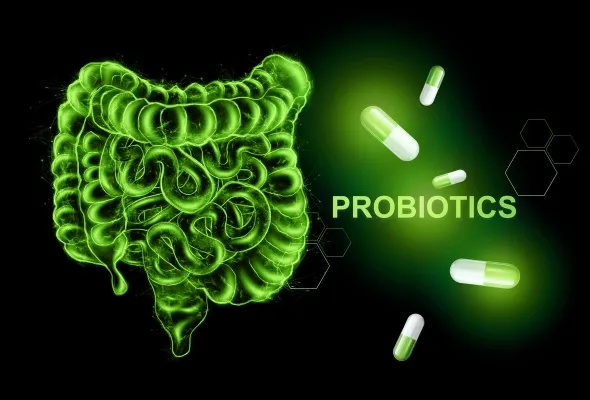 โพรไบโอติก (Probiotic)