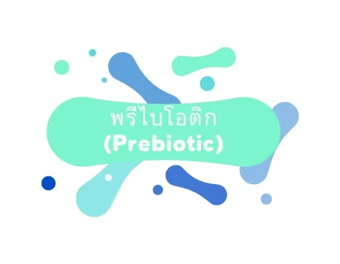 รับผลิต พรีไบโอติก (Prebiotic)