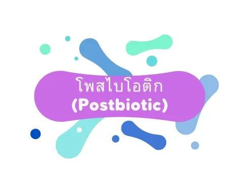 รับผลิต โพสไบโอติก (Postbiotic)