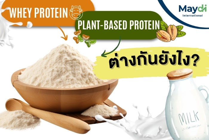 ผงชงดื่ม Whey Protein และ Plant-Based Protein ต่างกันยังไง?