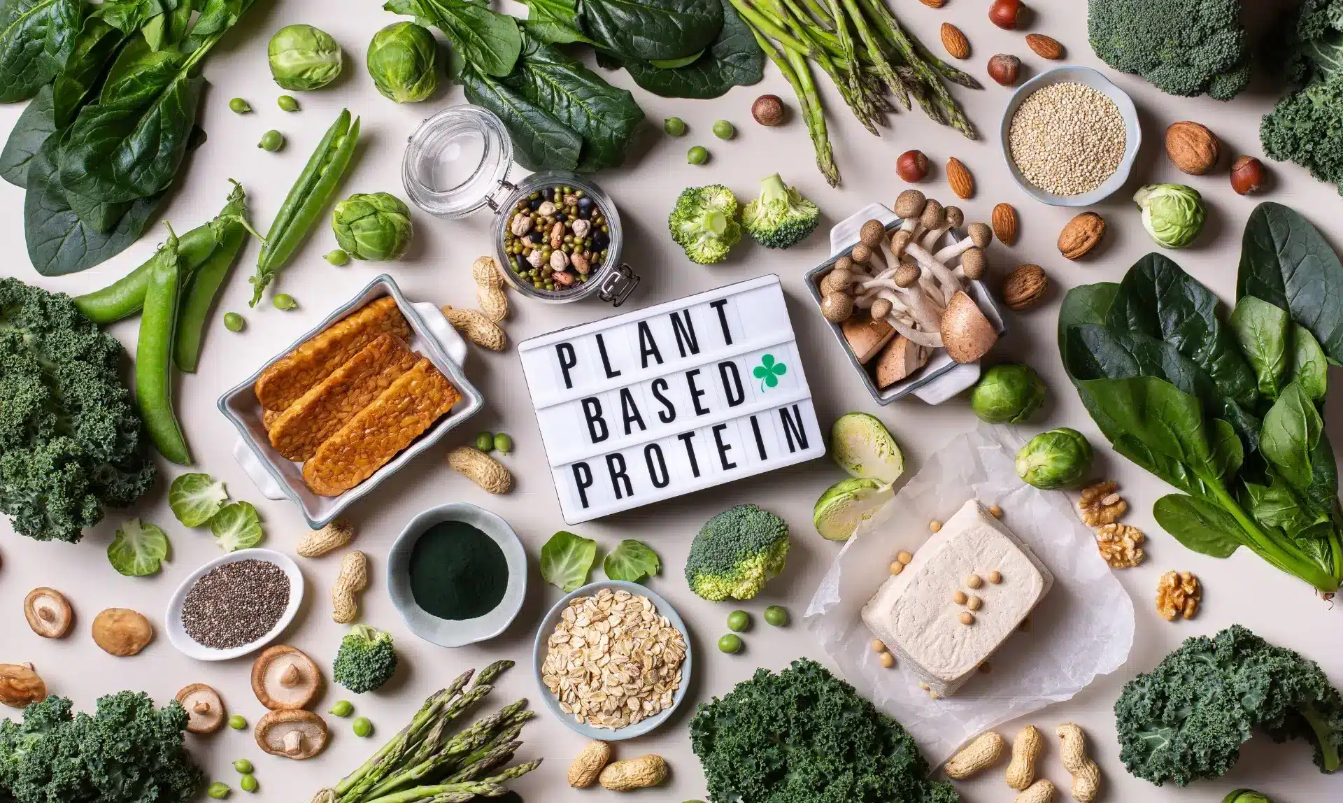 โปรตีนจากพืช (Plant based protein)