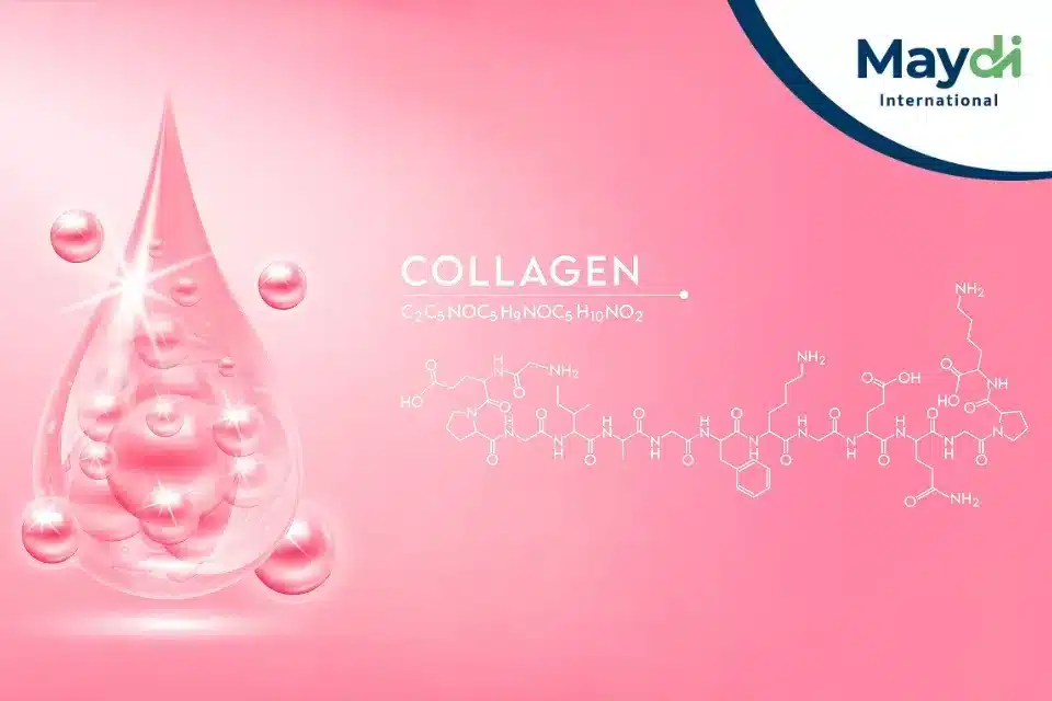 รับผลิต Plant Collagen คอลลาเจนจากพืช 100%