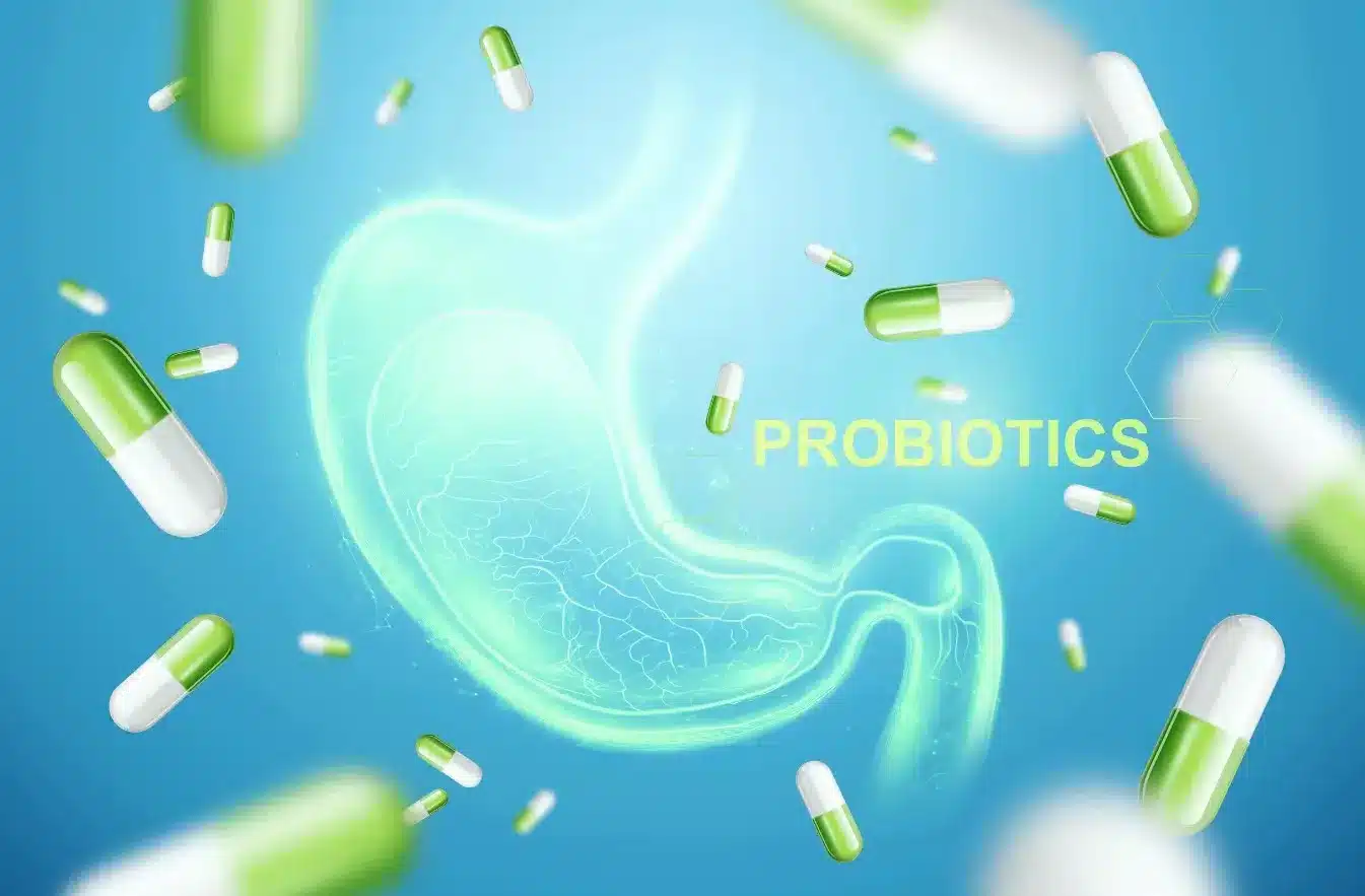 โพรไบโอติก (Probiotic)