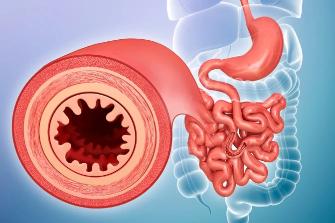 กลไกการทำงานของ Liposomal