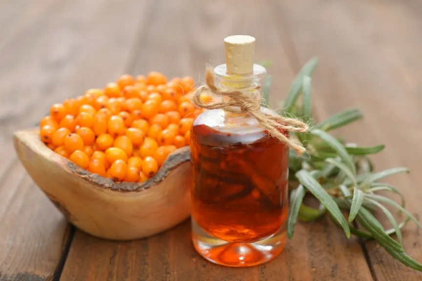 น้ำมันซีบัคธอร์น (Seabuckthorn Oil)