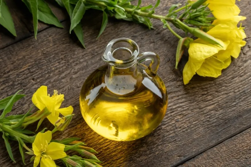 น้ำมันอีฟนิ่งพริมโรส (Evening Primrose Oil)