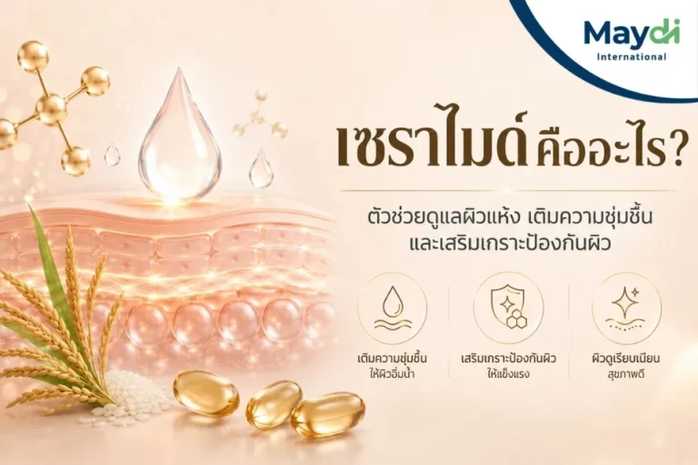 ทำความรู้จักเซราไมด์คืออะไร