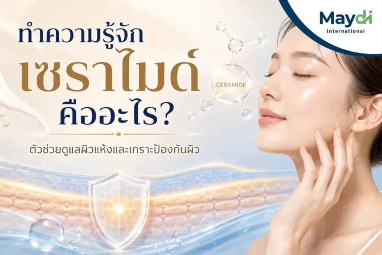 ทำความรู้จักเซราไมด์คืออะไร ตัวช่วยดูแลผิวแห้งและเกราะป้องกันผิว